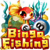 Câu Cá Bingo ax88u pro